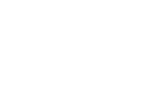 LUXURY SERVICE